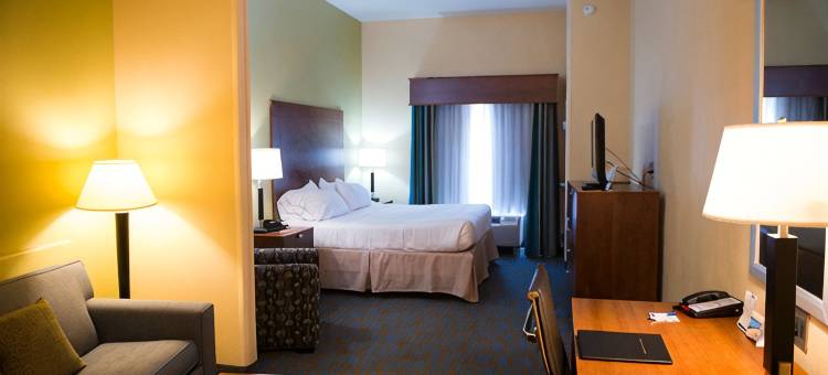 亚特兰大东 - 利松尼亚智选假日酒店及套房(Holiday Inn Express & Suites ATLANTA EAST - LITHONIA by IHG)图片