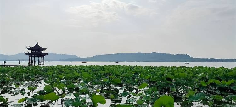 杭州coco家阳光温馨民宿(闲林老街店)图片