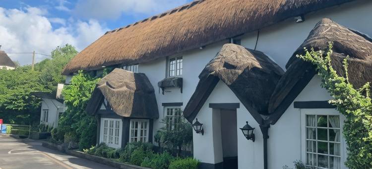 篮球酒店(The Hoops Inn & Country Hotel)图片