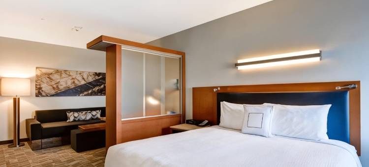 丹佛万豪SpringHill酒店- 安舒茨医学院(SpringHill Suites Denver at Anschutz Medical Campus)图片