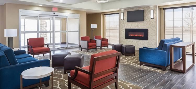 南米德兰I-20舒适酒店(Comfort Inn Midland South I-20)图片