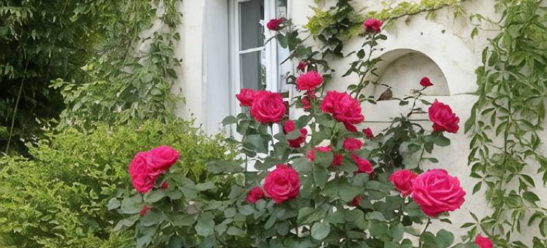 卡桑德拉别墅旅馆(Villa Cassandre)图片