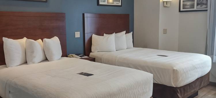 弗拉特罗克呗盟套房酒店(Baymont by Wyndham Flat Rock)图片