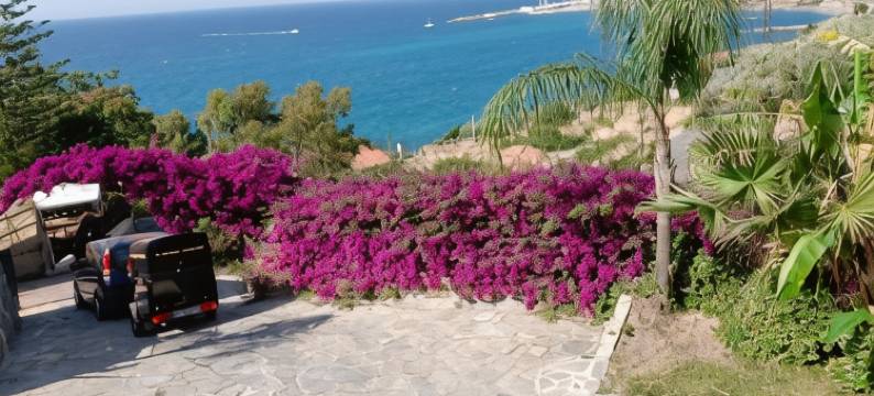 Villa del Mare Ligure Terme & Spa Piscina a 37 Gradi图片