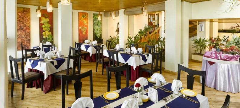 大吉岭中央遗产度假村及水疗中心(Central Heritage Resort & Spa Formerly Fortune ITC Resort)图片