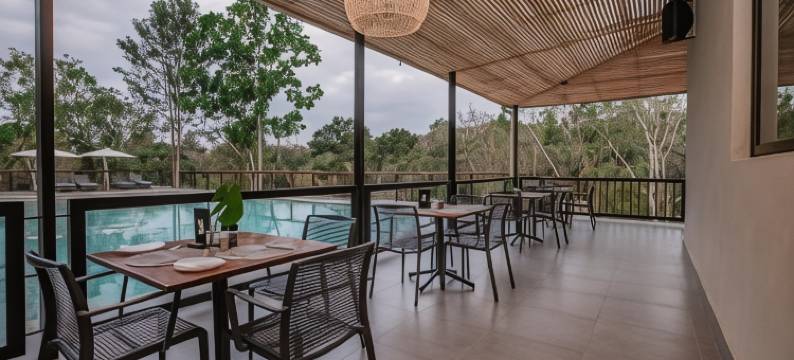 Bushbaby Valley Lodge图片