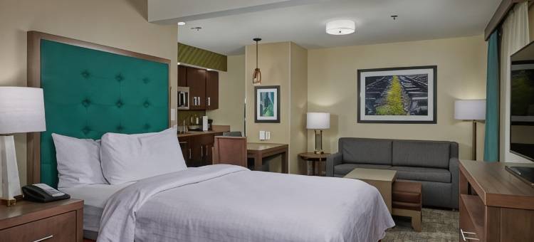 萨拉索塔Homewood Suites by Hilton(Homewood Suites by Hilton Sarasota)图片