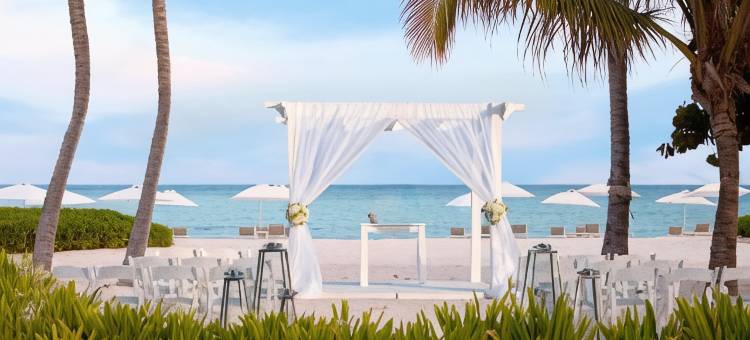 蓬塔卡纳村福朋喜来登酒店(Four Points by Sheraton Puntacana Village)图片