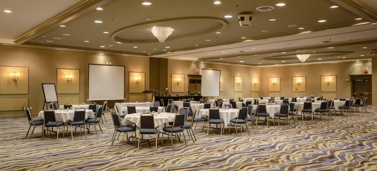 Holiday Inn 萨德伯里(Holiday Inn Sudbury)图片