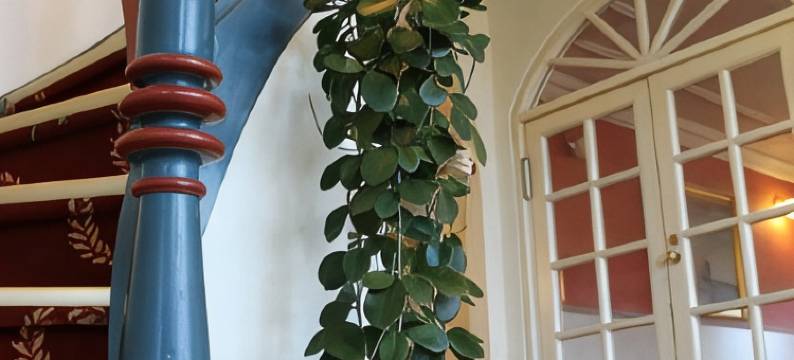 哈瓦普桑德法格库酒店(Hvalpsund Færgekro)图片