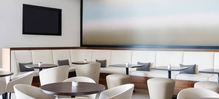 坦帕机场AC酒店(AC Hotel Tampa Airport)图片