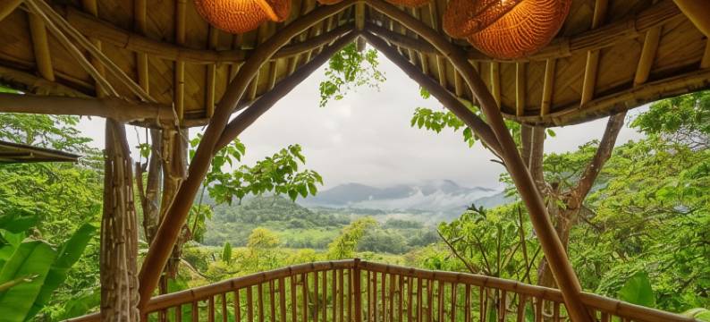 Bird Hills Bamboo House图片