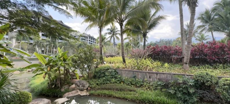 何姐姐的民宿(西景线分店)图片