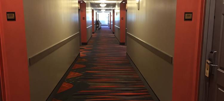 博尼塔斯普林斯北那不勒斯戴斯套房酒店(Days Inn & Suites by Wyndham Bonita Springs North Naples)图片