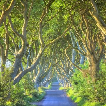 英格兰+北爱尔兰13日私家团