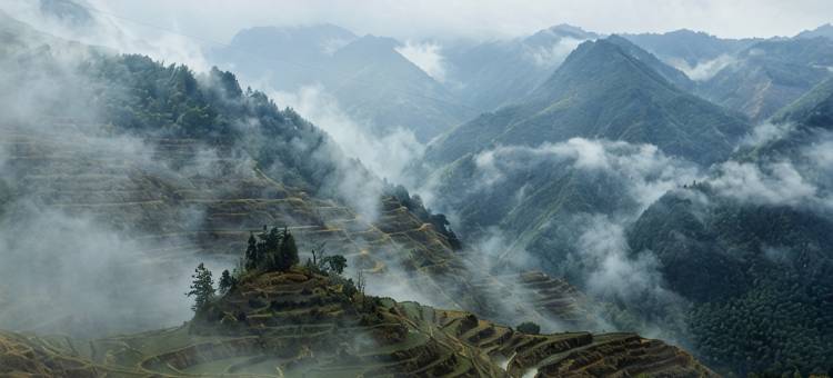 花筑·钟灵毓秀·雲中自在居·百年进士府邸(景宁云中大漈店)图片