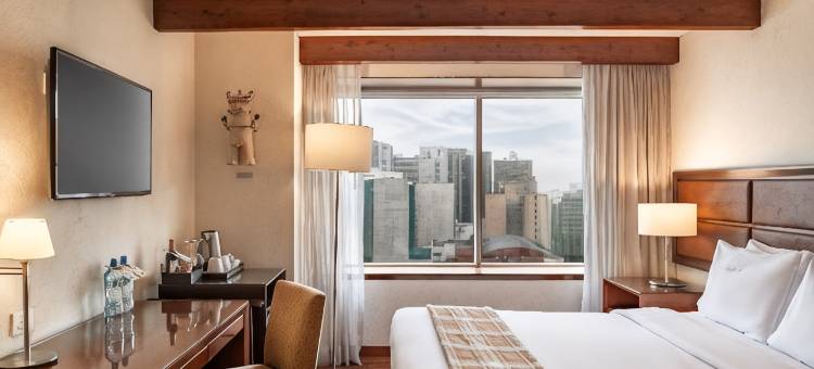 米拉弗洛雷斯安第斯高端家(Casa Andina Premium Miraflores)图片