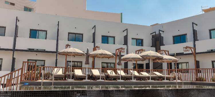 达喀尔奥诺莫酒店(ONOMO Hotel Dakar)图片