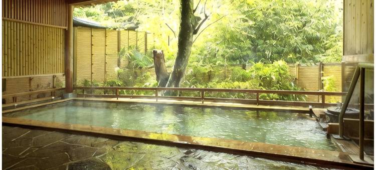 赤目温泉 隐之汤 对泉阁(Akame Onsen Hidden Hot Spring Taisenkaku)图片