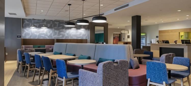 西埃德蒙顿希尔顿惠庭套房酒店(Home2 Suites by Hilton West Edmonton)图片