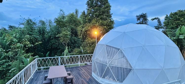 Banyu Pinus Camper Park图片