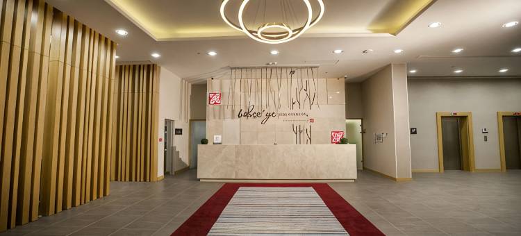 埃尔津詹希尔顿花园酒店(Hilton Garden Inn  Erzincan)图片