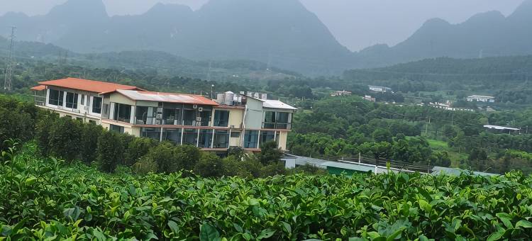 英德红茶体验馆特色民宿(美红路分店)图片
