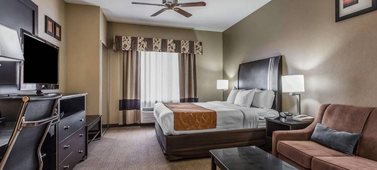 贝克斯菲尔德舒适套房酒店(Comfort Suites Bakersfield)图片