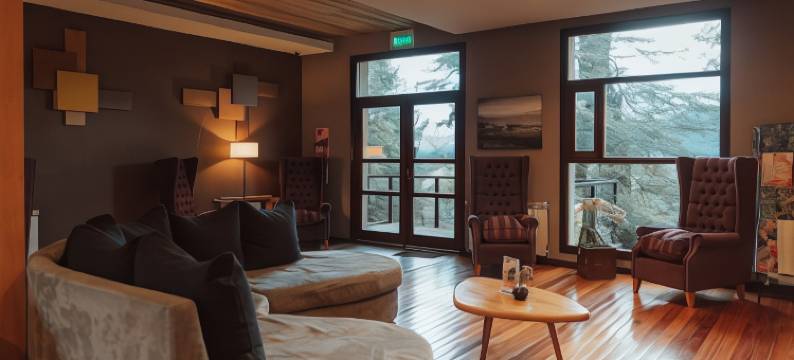 纳乌艾尔乌森林 Spa 精品酒店(Boutique Hotel & Spa Bosque del Nahuel)图片