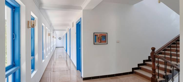 Azalea by Stone Wood Premier图片