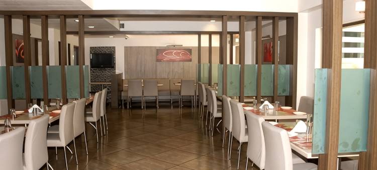 夏里玛尔安克尔西瓦威特兹酒店(Vits Shalimar, Ankleshwar)图片