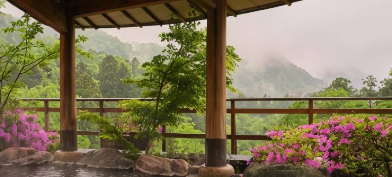 山中温泉花紫(Yamanakaonsen Hanamurasaki)图片