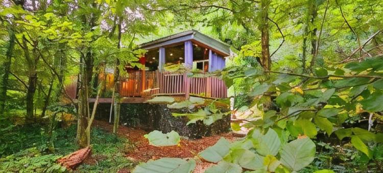 铁之天使(La Cabane Enchanteresse)图片