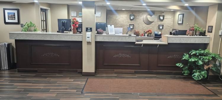 韦瑟斯菲尔德哈特福德舒适酒店(Comfort Inn Wethersfield - Hartford)图片