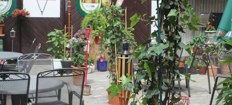 餐厅/迈因策尔图尔膳食旅馆(Restaurant / Pension Mainzer Tor)图片