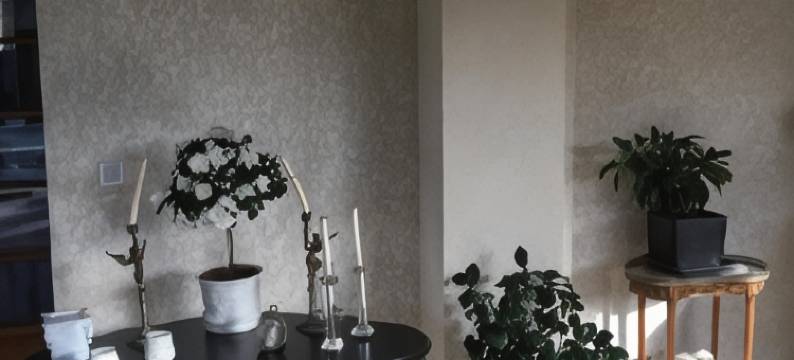 普雷米塞斯弗雷特住宿加早餐旅馆(Les Prémices de La Forêt)图片