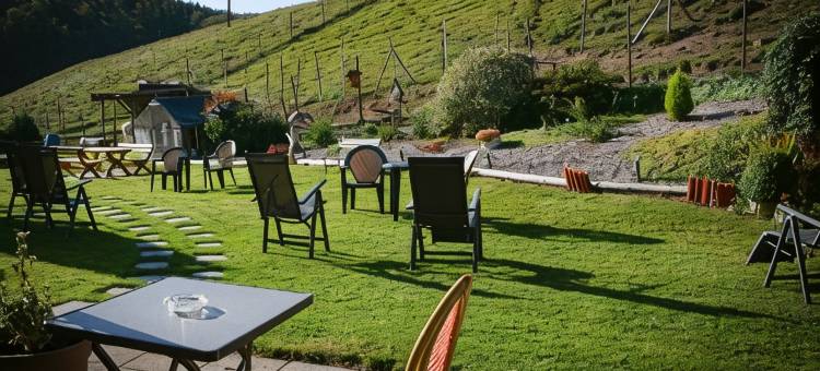小旅馆酒店(Logis Hôtel Restaurant la Petite Auberge Alsace)图片