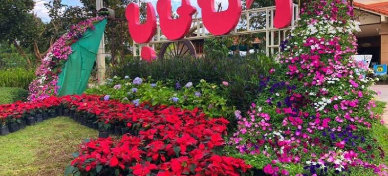 弗鲁亚布萨巴度假村及水疗中心(Phurua Bussaba Resort & Spa)图片