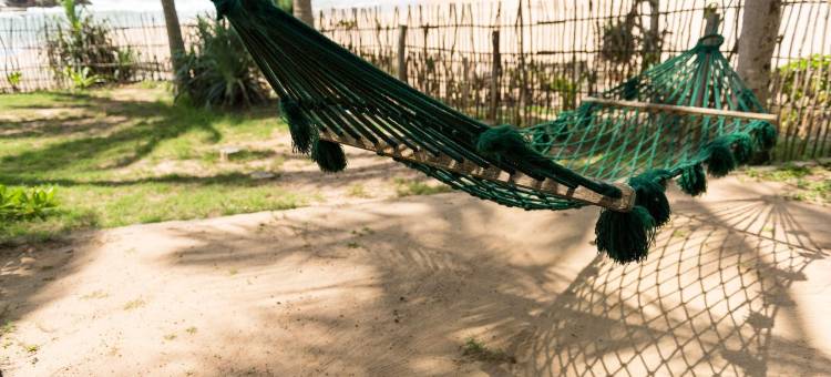 海龟湾大酒店(Turtle Bay Boutique Hotel)图片