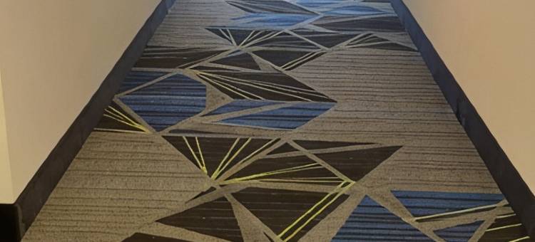 智选假日套房酒店韦斯顿(Holiday Inn Express & Suites Weston)图片