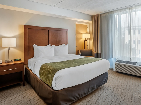 舒适酒店-盖瑟斯堡罗克维尔凉荫丛