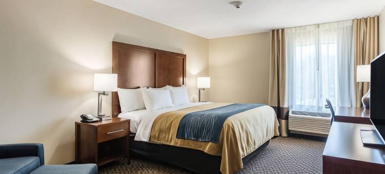 爱德华兹维尔圣路易斯舒适酒店(Comfort Inn Edwardsville - St Louis)图片