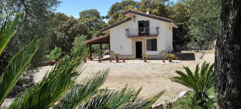 Villa Cycas Relaxation in Nature图片