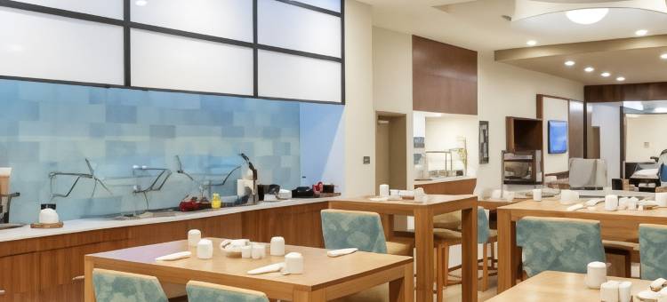 佛罗里达坦帕 - 韦斯利查普尔希尔顿花园酒店(Hilton Garden Inn Tampa - Wesley Chapel)图片