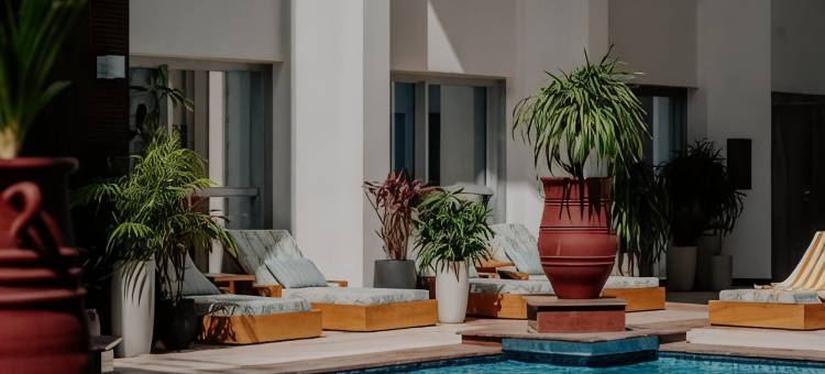 迪拜都喜天丽酒店(Dusit Thani Dubai)图片