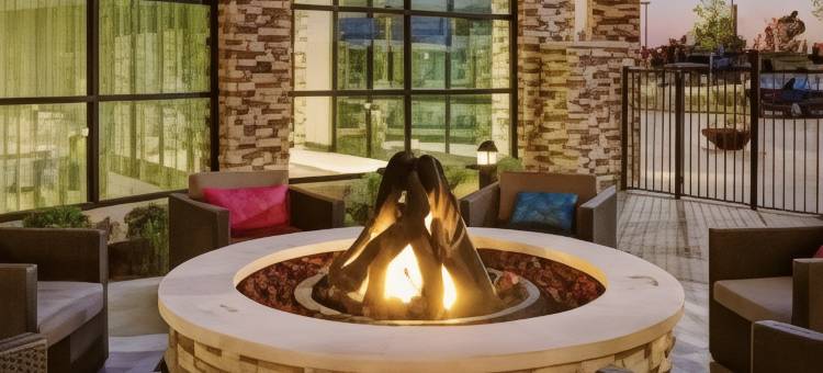 希尔顿花园旅馆-达拉斯南阿林顿(Hilton Garden Inn Dallas/Arlington South)图片