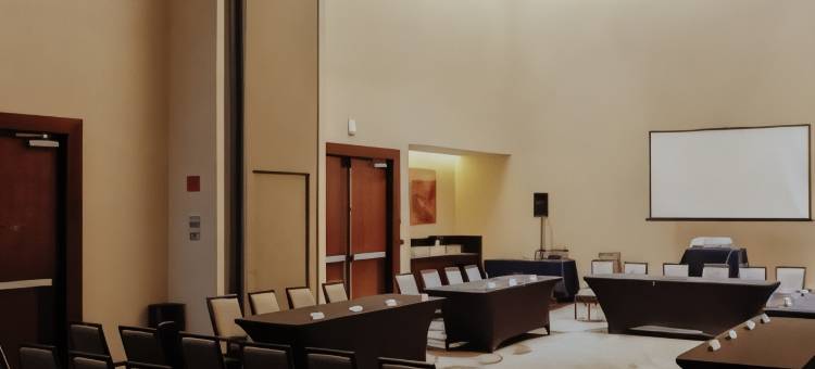 塞拉亚希尔顿逸林酒店(DoubleTree by Hilton Celaya)图片