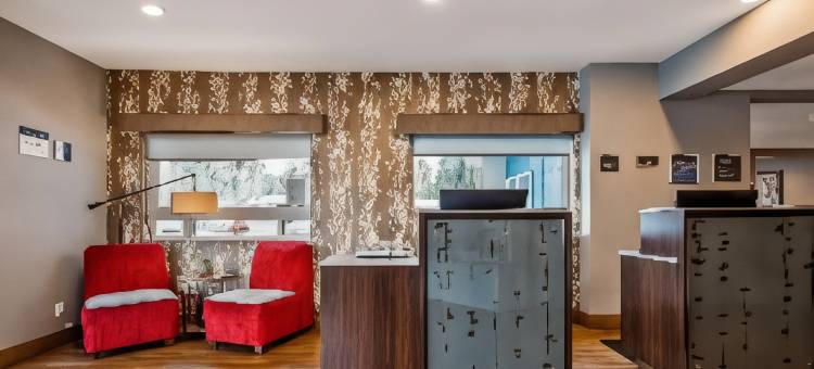 色梅斯贝斯特韦斯特酒店(Best Western Hotel des Thermes)图片