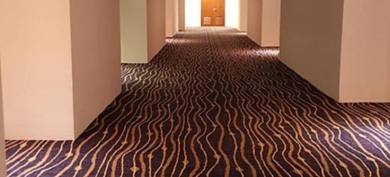 梳邦加亚奈克萨斯摄政套房酒店(Nexus Regency Suites & Hotel)图片