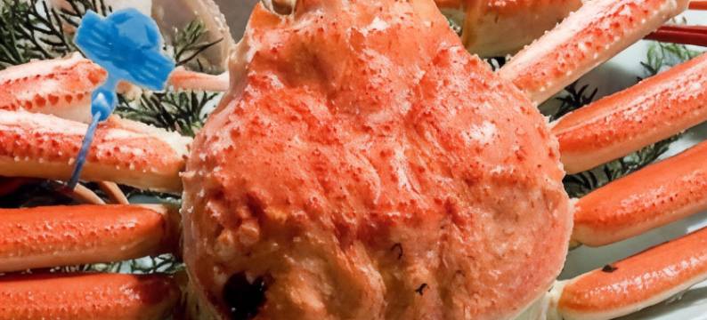 松屋酒店(Matsuya)图片